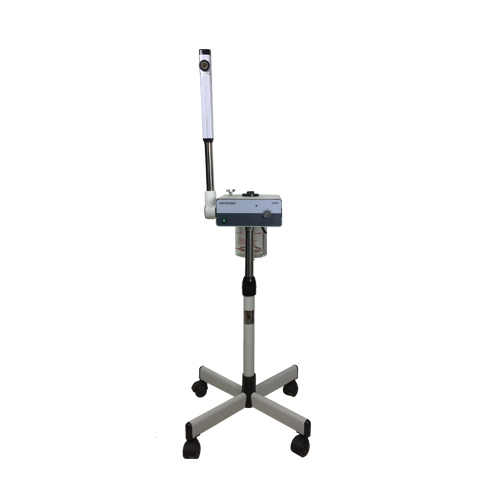 Facial Steamer D201