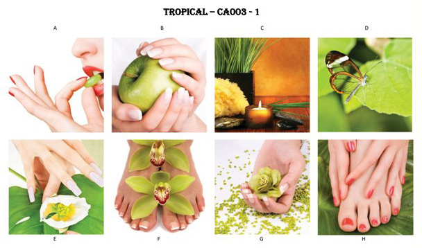 Canvas Tropical - Set of 8 pcs