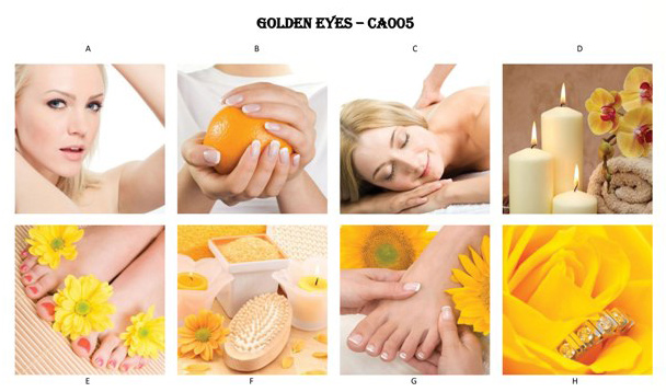 Canvas Golden Eyes - Set of 8 pcs